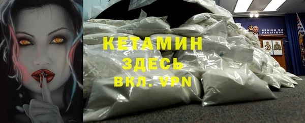 шишки Каменка