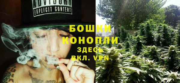 шишки Каменка