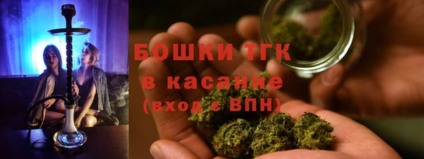 мдпв Инсар