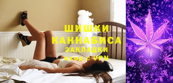 шишки Каменка