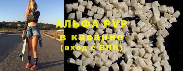 шишки Каменка