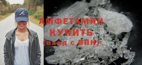 шишки Каменка