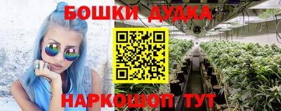 индика Обь
