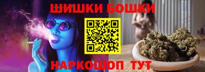 индика Обь