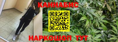 Альфа ПВП Вышний Волочёк
