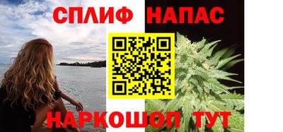 индика Обь