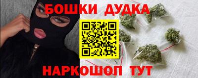 индика Обь