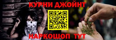 индика Обь