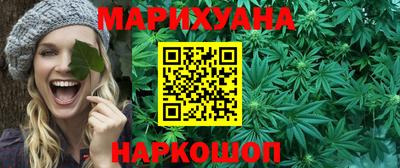индика Обь
