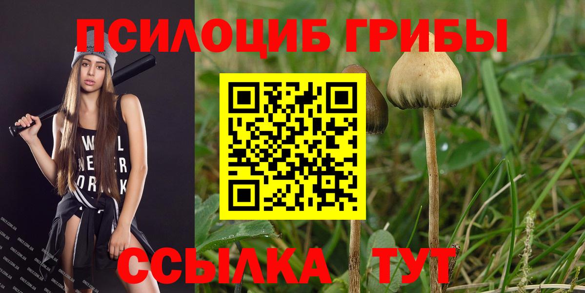 Кинешма  Галлюциногенные грибы прущие грибы  Вход с VPN  Псилоцибиновые грибы Psilocybine cubensis 